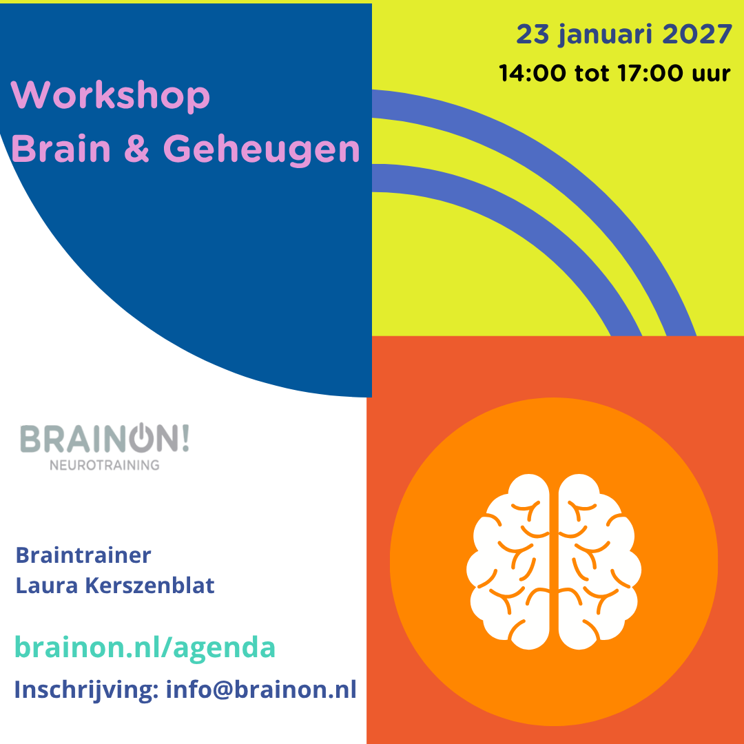 brein-en-geheugen-brainon.nl